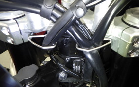 TRIUMPH TIGER 900 GT PRO 2024