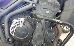 TRIUMPH TIGER800(ショルイナ
