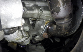 YAMAHA MAXAM 250 SG21J