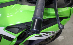 KAWASAKI ZX-25RR 2024 ZX250H
