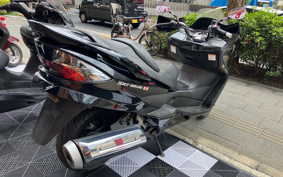 SUZUKI SKY WAVE 250 TYPES