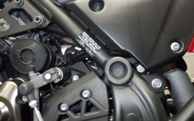 YAMAHA TENERE 700 2020 DM09J