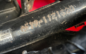 HONDA  TACT  BASIC  AF79