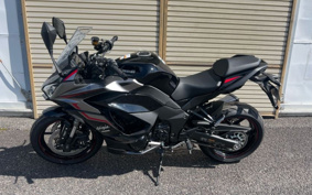 KAWASAKI NINJA 1000 SX 2024 ZXT02K