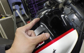 KAWASAKI SUPER SHERPA 1995 KL250G