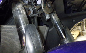 YAMAHA YZF-R25 2006 RG10J