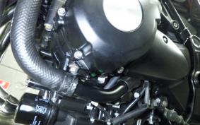 KAWASAKI Z900RS 2024 ZR900K