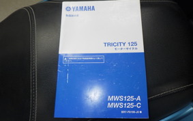 YAMAHA TRICITY 125 A 1999 SEC1J