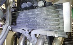 YAMAHA XJR1300 1998 RP01J